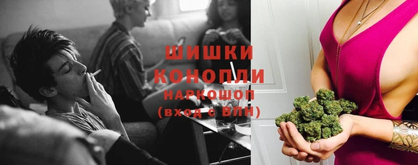 шишки Волосово