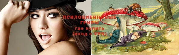 шишки Волосово