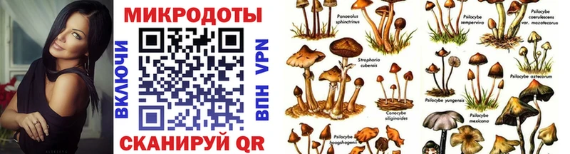 даркнет сайт  Осинники  МЕГА ССЫЛКА  Галлюциногенные грибы прущие грибы 
