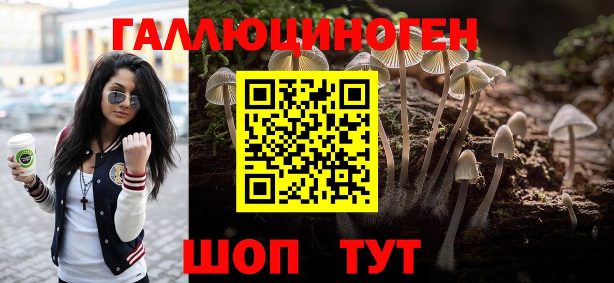 Псилоцибиновые грибы ЛСД Осинники