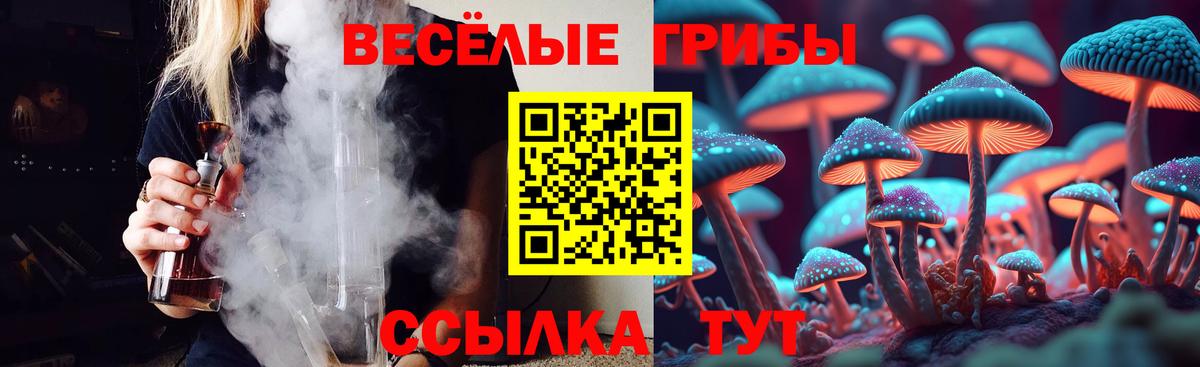 Осинники  купить наркоту  Вход с VPN  Псилоцибиновые грибы GOLDEN TEACHER 
